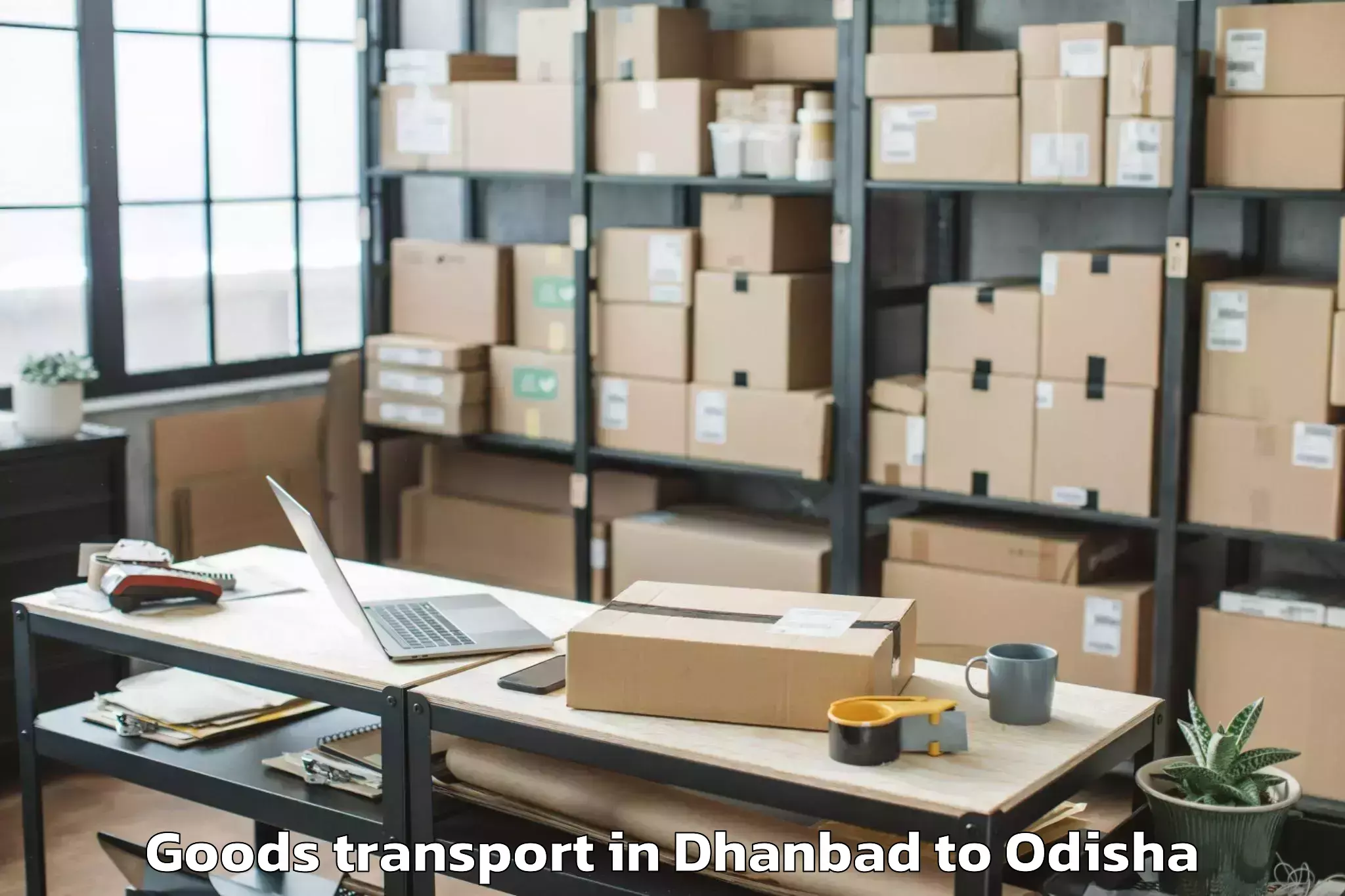 Discover Dhanbad to Lathikata Goods Transport